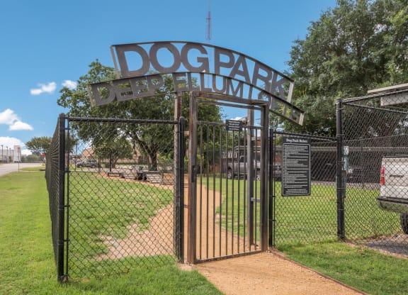 Dog Park - Deep Ellum Lofts, Dallas, Texas, TX
