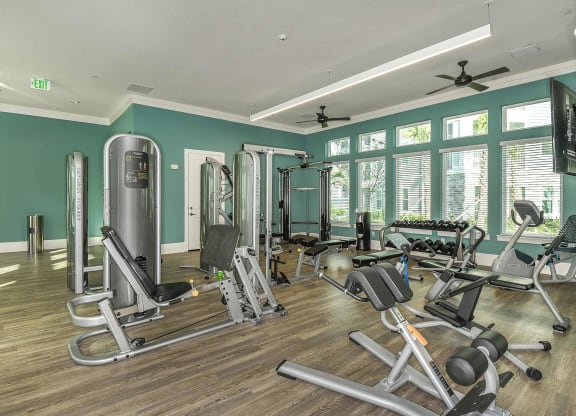Fitness Center 3 at Dunedin Commons Apartment Homes in Dunedin, Florida, FL