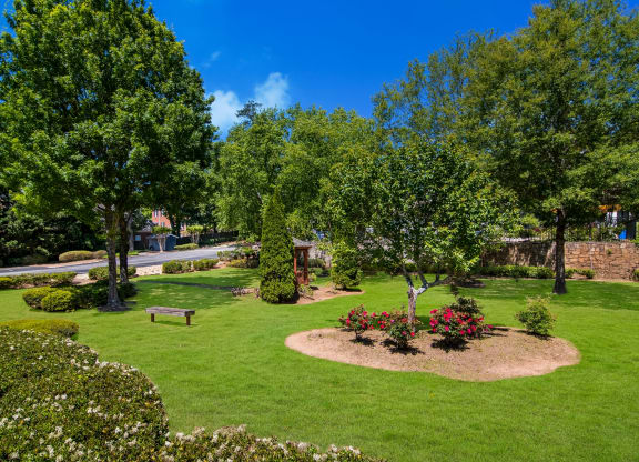 outdoor activity area with green grass and trees at Dunwoody Pointe in Sandy Springs, GA