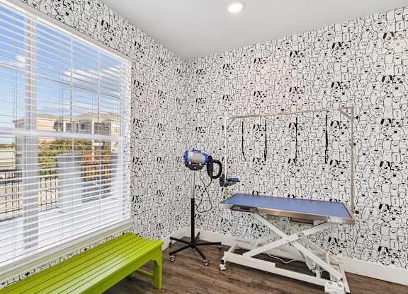 Encore at Buckingham apartment in Richardson, TX dog spa