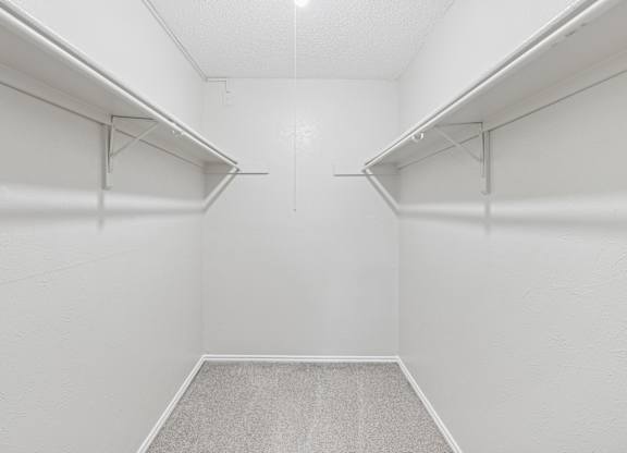 Empty white walk in closet with carpeted floor.