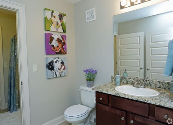 Model bathroom with a sink and a toilet and a mirror at Grand Reserve at Pelham in Pelham, AL