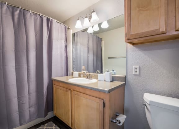 Model Unit Bathroom at Greensview Apartments in Aurora, Colorado, CO