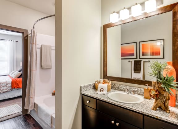 a bathroom with a mirror and a sink and a shower