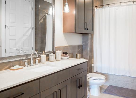 3 bedroom model bathroom with a sink and a toilet and a shower at The Hamilton apartments in Dallas, TX