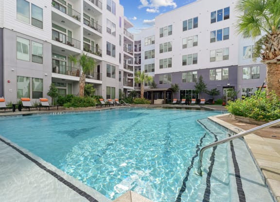 Swimming pool with palm tree and lounge seating at Harlow River Oaks in Houston, TX