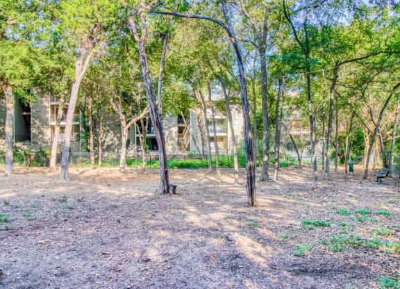 Inside the dog park with space to play at Hillside Creek Apartments in Austin, TX