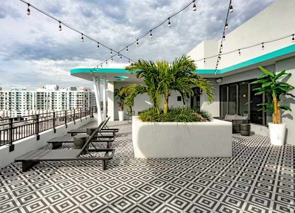 Our sky deck with lounge chairs and palms at Hollywood Heights on the Boulevard Luxury Apartments in Hollywood, FL