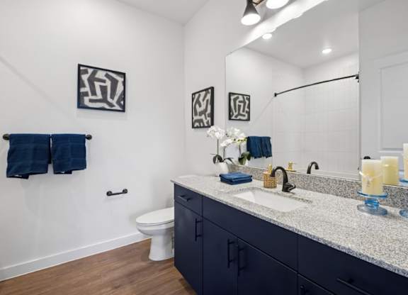 Hillside on Parmer Lane Apartments in Austin Tx model unit bathroom