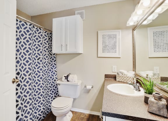 the enclave at homecoming terra vista bathroom