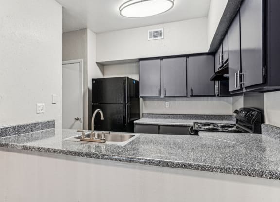 Modern kitchen with stainless steel appliances at Laurels of Sendera apartments in Arlington, TX