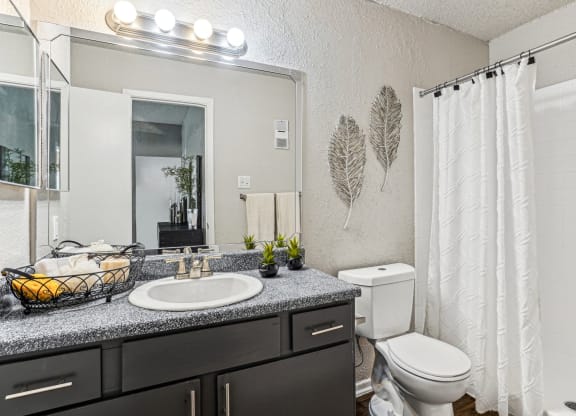 Contemporary bathroom with a sink and a toilet and a shower at Laurels of Sendera apartments in Arlington, TX