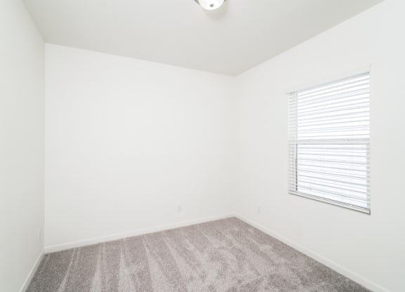 a bedroom with natural light from a window and carpet floor