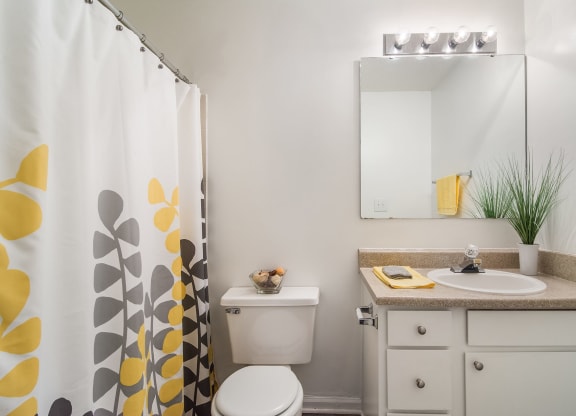 Bathroom at Poplar Place Apartments in Carrboro, NC
