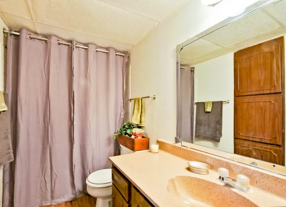 Model Bathroom 1 at 600 Baylor in Longview Tx