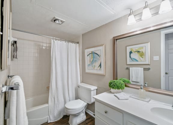 Model Bathroom at Davenport Apartments in Dallas, TX