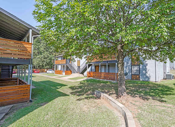 A tree in a grassy area in front of one of our apartment buildings at The Marq apartments in Shreveport, LA