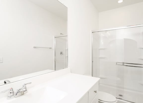 Master bathroom with a sink toilet and shower with glass door  in Oak Floor at Beacon at Clinton Corners in Dade City, FL
