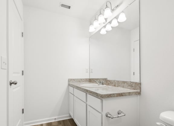 a bathroom with a sink and a mirror
