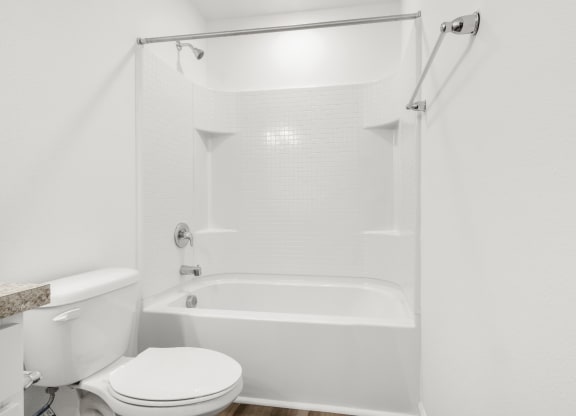 a bathroom with a toilet and a bathtub