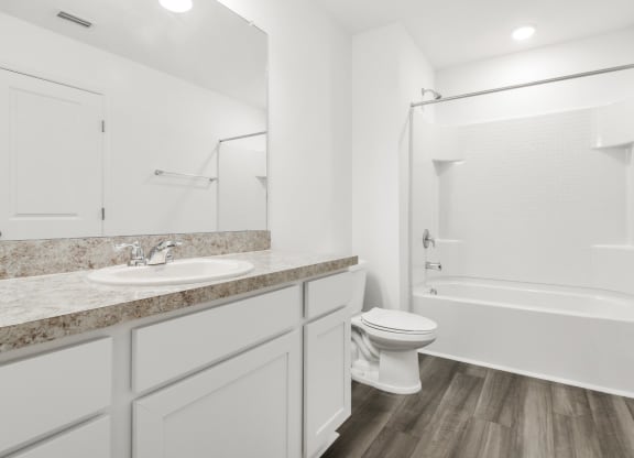 a bathroom with a bathtub and a sink