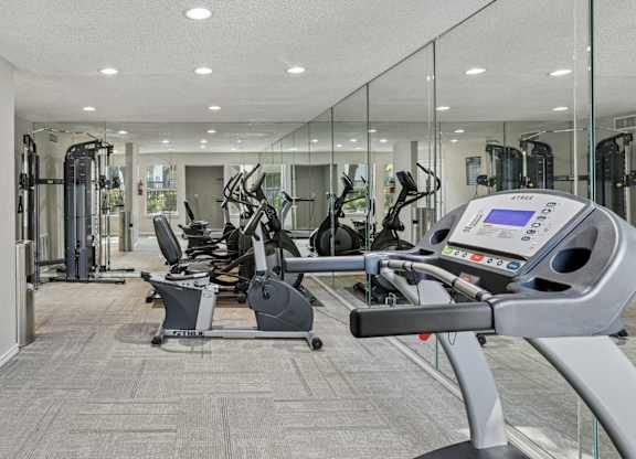 A gym with treadmills, elliptical machines and other cardio equipment.