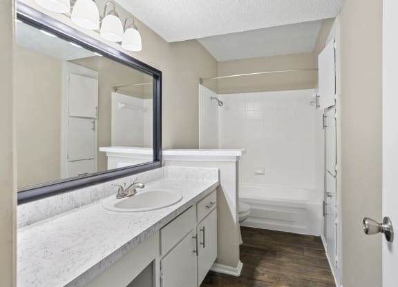 a bathroom with a sink and a mirror
