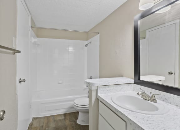 a bathroom with a sink and a toilet