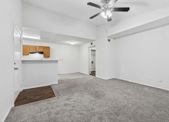 1 Bedroom living room at Reflections in Gainesville, FL
