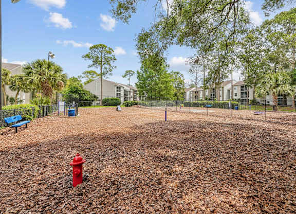 Dog Park at Reflections in Gainesville, FL