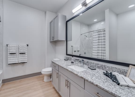 Luxurious Bathroom Interior at St. Elmo Apartment in Austin, TX