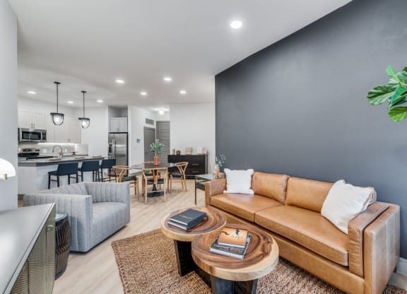 Modern Living Room Interior with Stylish Decor at St. Elmo Apartment in Austin, TX