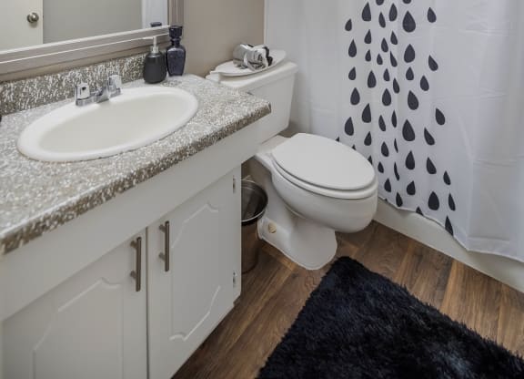 Model Studio Bathroom at Orleans Square in Shreveport, LA