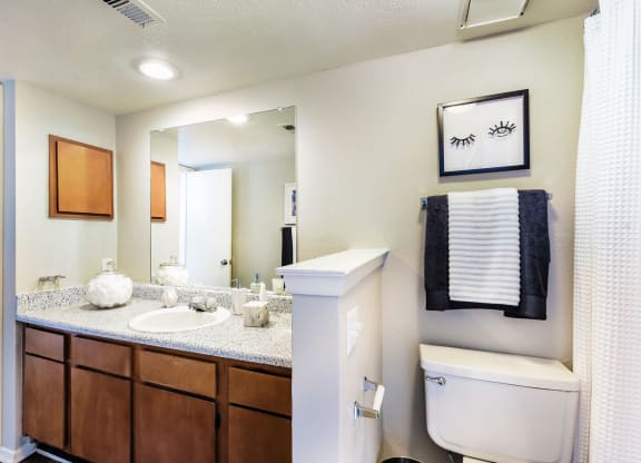Model Bathroom at The Summit Apartments in Mesquite, Texas, TX