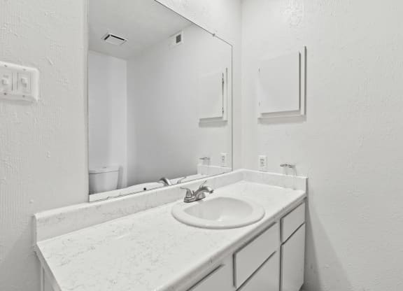 a bathroom with a sink and a mirror