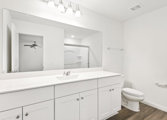 a bathroom with a large mirror and a toilet