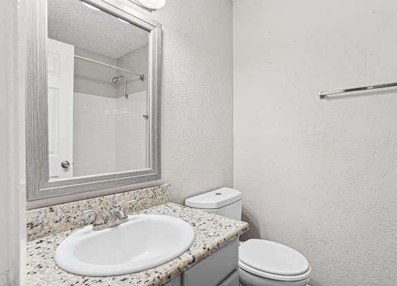 B1 bathroom with a sink, toilet, and mirror at Vine Apartments in Arlington, TX