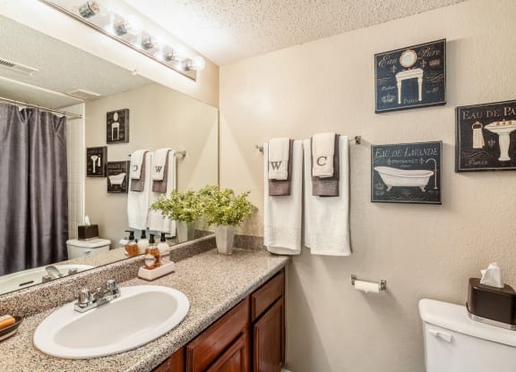 Model Bathroom at Walnut Creek Crossing Apartments in Austin, Texas, TX