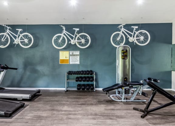Fitness Center 2 | Westdale Creek | Austin TX