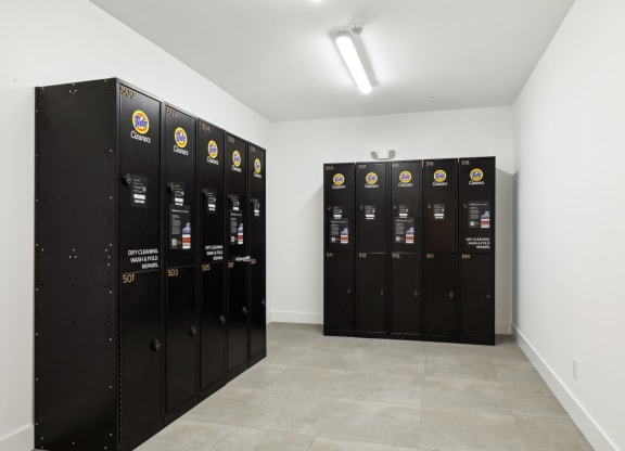 Dry Cleaning Lockers at Westgate on University in Lauderhill, FL