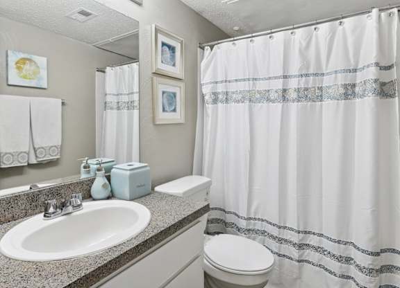 B1 bathroom with a sink, toilet, and curtain at Westdale Pointe in Austin, TX