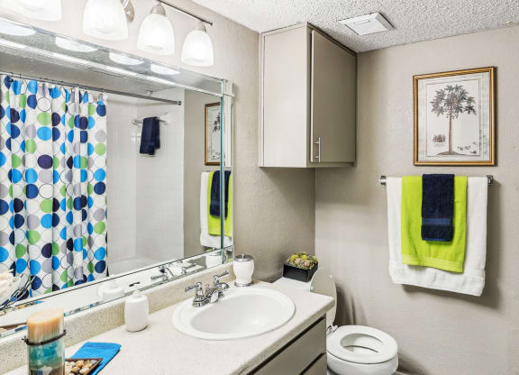 Model bathroom with a sink and a toilet and a mirror at Hunters Chase in Austin, TX