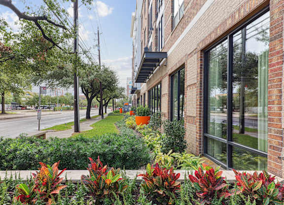 A view along the street of Muse at Museum District apartments on the right and lush greenery. Luxury apartments in Houston, TX