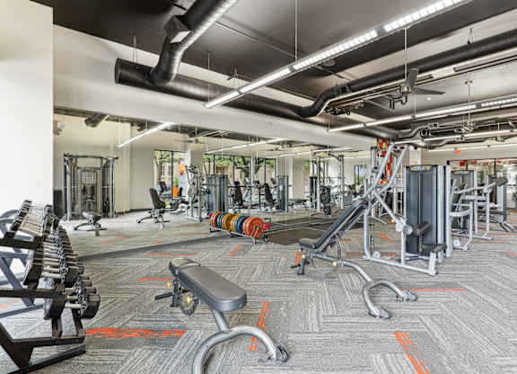 Our gym with a variety of equipment including dumbbells, weight machines, and benches at Muse at Museum District apartments in Houston, TX
