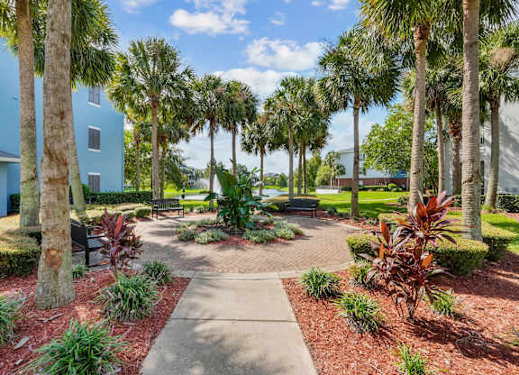 A walkway leads through a landscaped area with palm trees and shrubs at Wynnfield Lakes Apartments in Jacksonville, FL