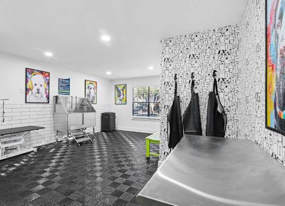 Woodmere Trace Apartments in Duluth, GA Pet Spa