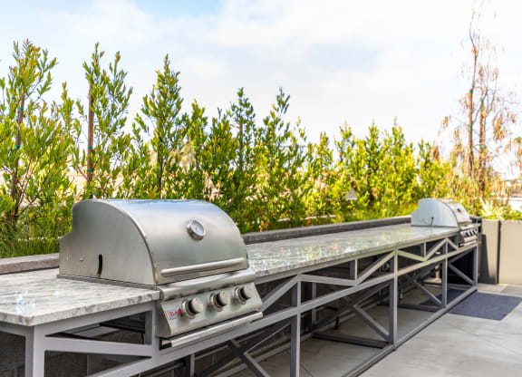 two bbq pits on a roof with trees in the background