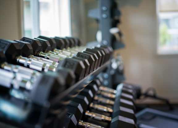 A row of dumbbells are lined up on a rack.