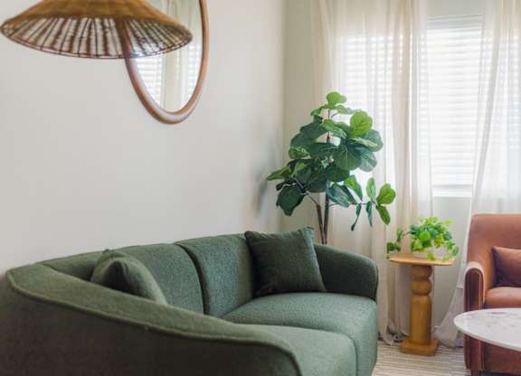 A living room with a green couch and a potted plant.
