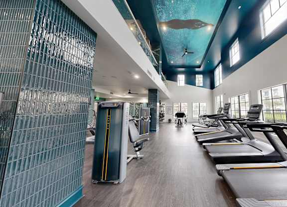 A gym with treadmills and a blue ceiling mural.